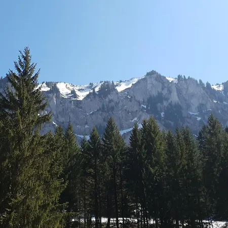 Chalet Familial Chaleureux
